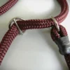 Laisse lasso avec stop pour éviter d'étrangler le chien