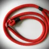 Laisse lasso - Thumbnail Image 4