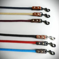 Laisse avec montant en cuir
