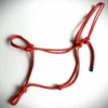 Licol - Thumbnail Image 4