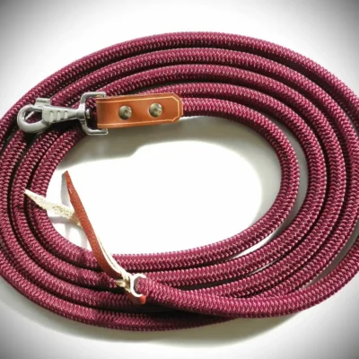 Longe éthologique bordeaux