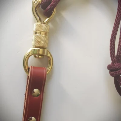 Mousqueton de sécurité