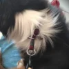 Collier à enfiler en corde bordeaux