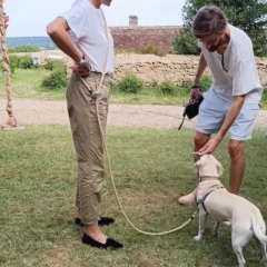 Laisse bandoulière main libre
