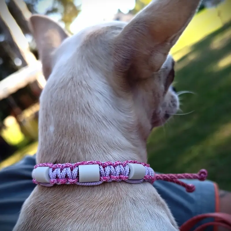 Collier anti tiques rose et parme