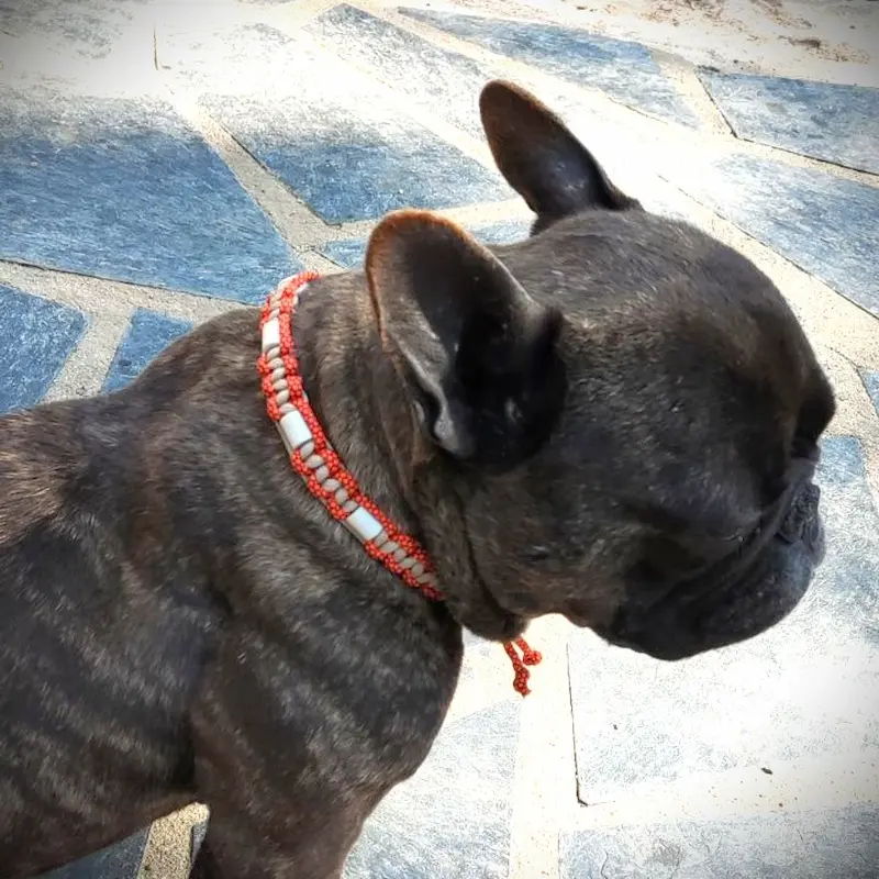 Collier anti tiques beige et orange