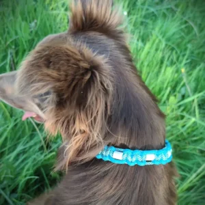 Collier anti tiques bleu