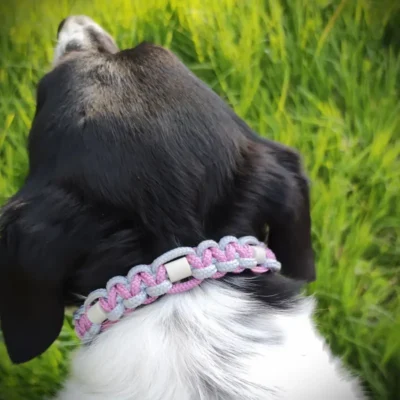 Collier anti tiques rose et gris