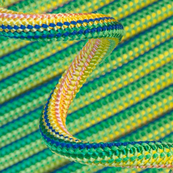 Cordon bleu vert jaune