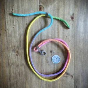 Cordon de téléphone arc en ciel