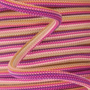 Cordon rose violet Rose violet