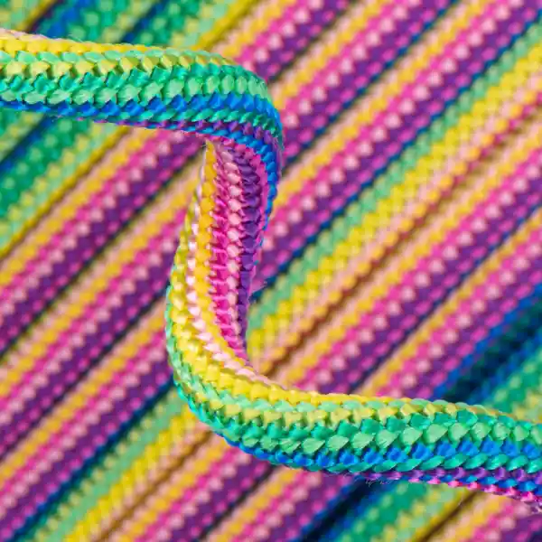 rose vert bleu jaune